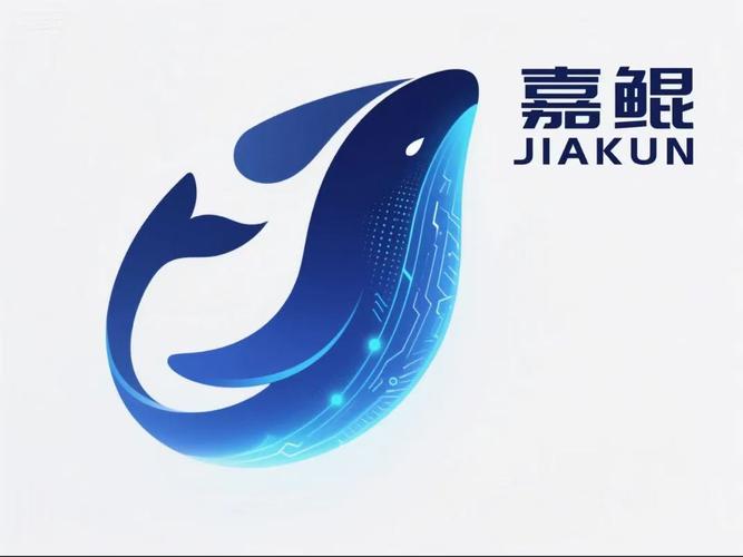 网络与信息安全软件开发